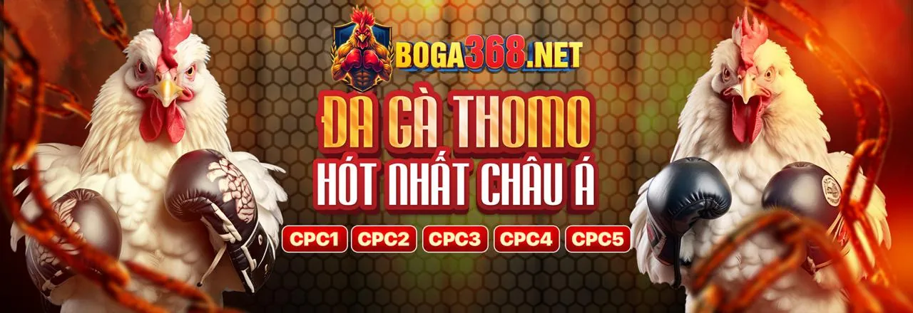 Cá cược thể thao sôi động tại rongvang68 casino